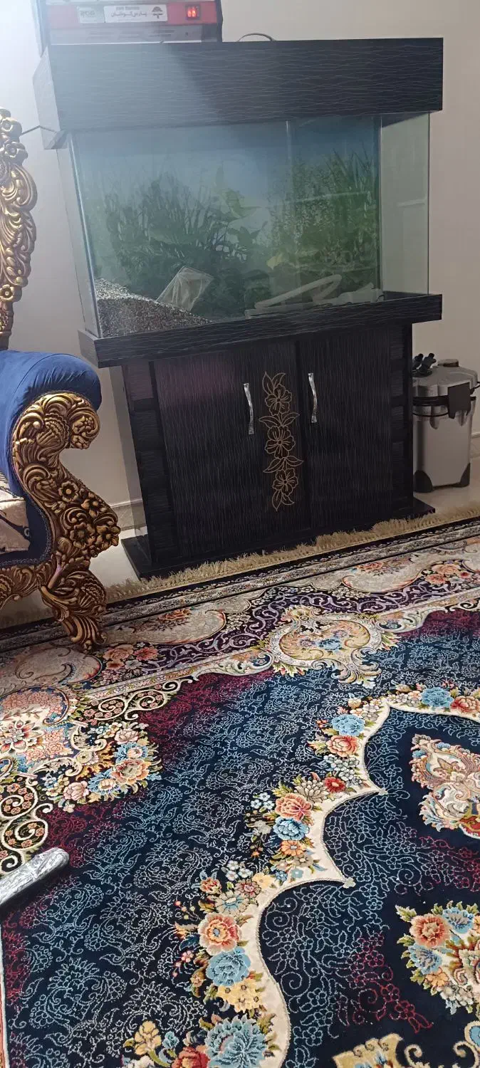 آکواریوم شیشه خم یک متری کمد دار|ماهی|پاکدشت, خاتون آباد|دیوار