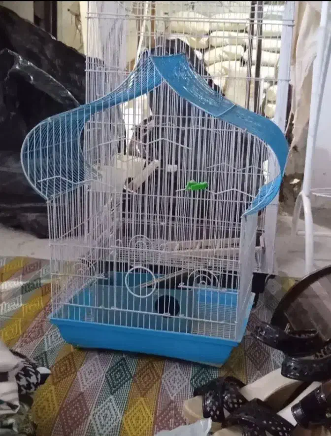 قفس پرنده|لوازم جانبی حیوانات|فردیس, شهرک ارم|دیوار