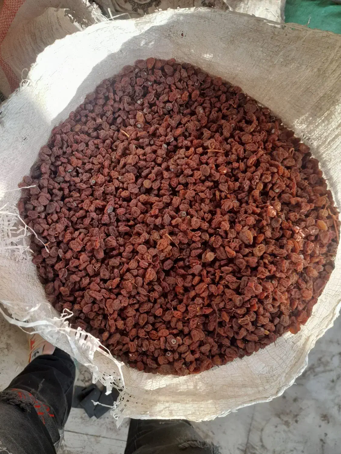 کشمش شیره دار ضایعات|خوردنی و آشامیدنی|مشگین شهر, |دیوار