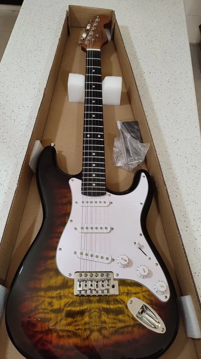 گیتار الکتریک، ترکیبی از کیفیت و قیمت|گیتار، بیس، امپلیفایر|صدرا-فارس, فاز ۱|دیوار