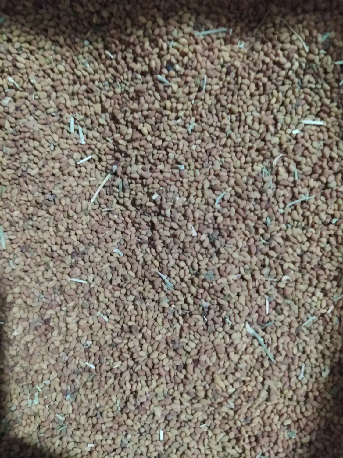 تخم یونجه...|حیوانات مزرعه|کرباسک, |دیوار