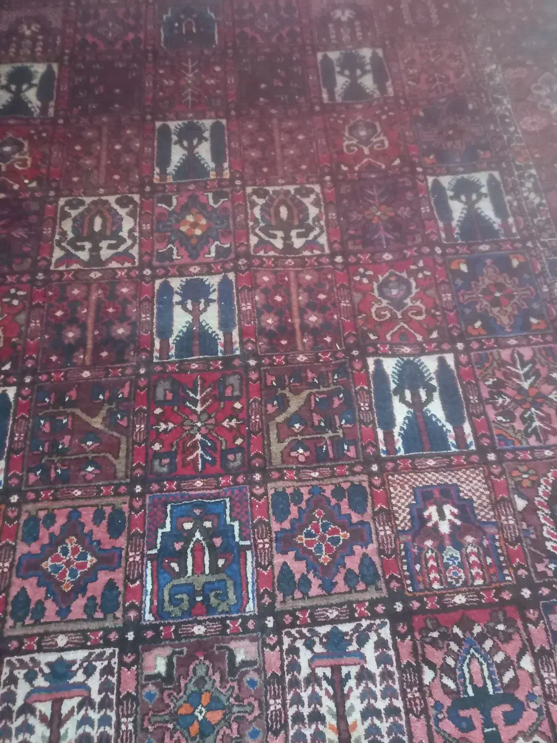 فرش دستباف|فرش|اصفهان, شاهزید|دیوار