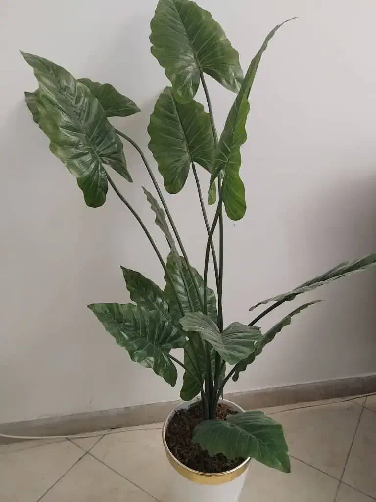 گلدان مصنوعی|گل مصنوعی|تهران, خواجه نظام الملک|دیوار