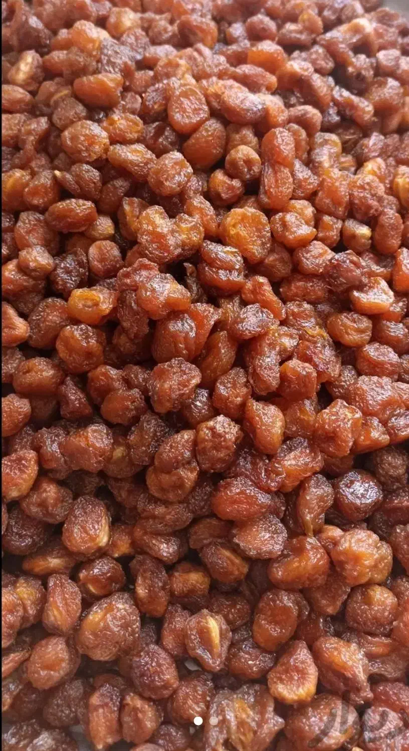 الوبخارا آلوبخارا|عمدهفروشی|زابل, |دیوار