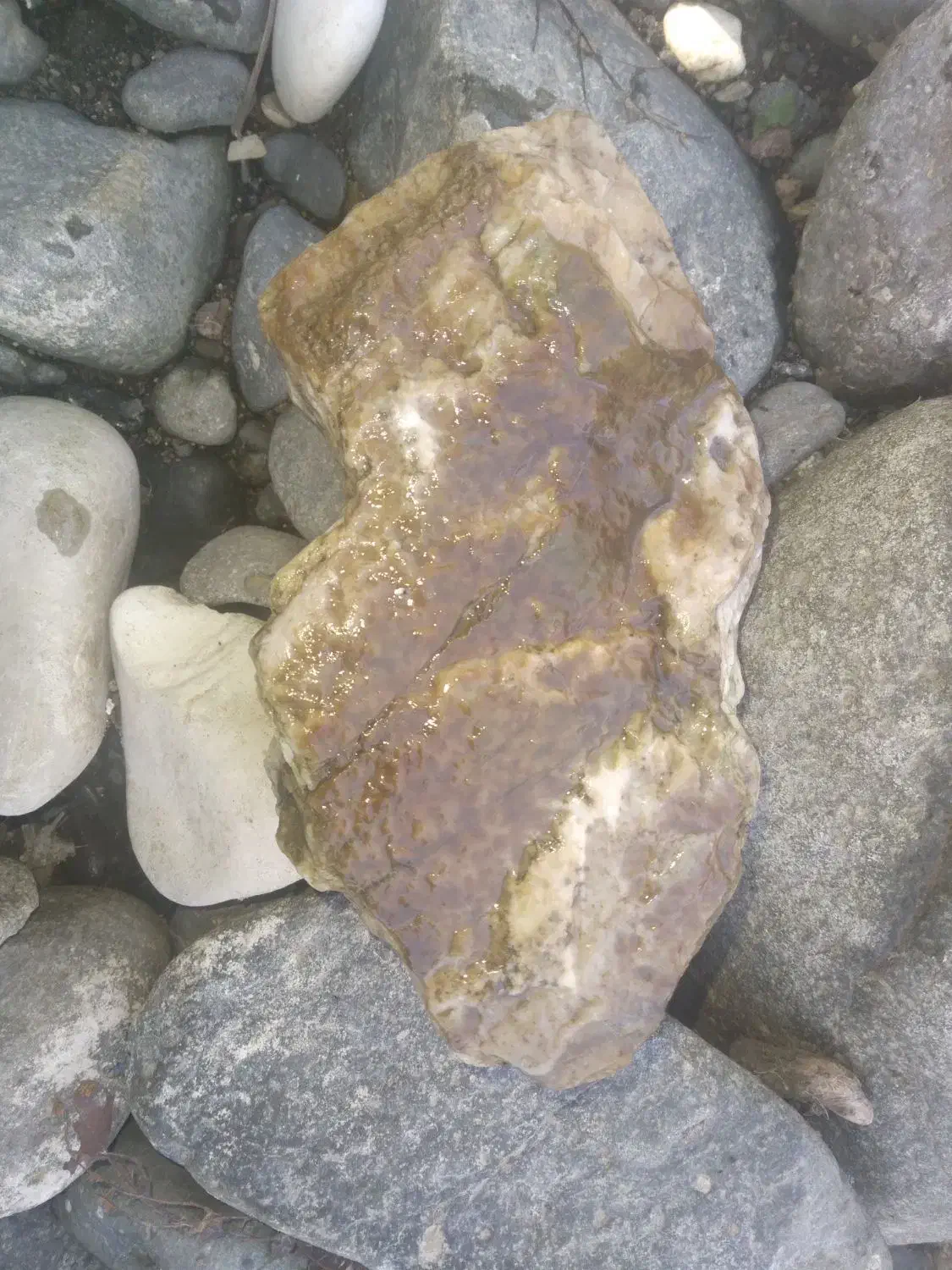 سنگ خاص|کلکسیون اشیاء عتیقه|املش, |دیوار