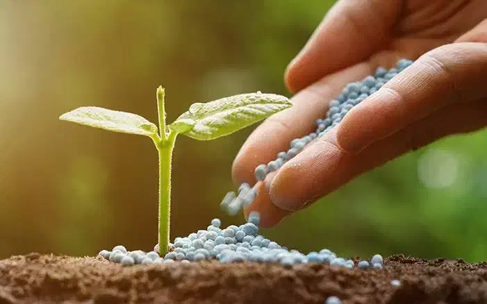 عرضه کودهای گیاهی منحصر به فرد|خدمات باغبانی و درختکاری|زنجان, |دیوار