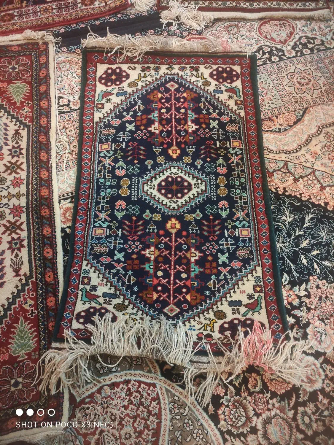 قالی دست بافت  فروشی|فرش|یزد, |دیوار