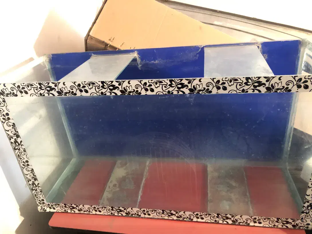 اکواریوم به همراه وسایل|ماهی|محمدشهر, ولدآباد|دیوار