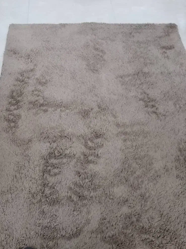 فرش شگی ۴ متری|فرش|شیراز, چوگیاه|دیوار