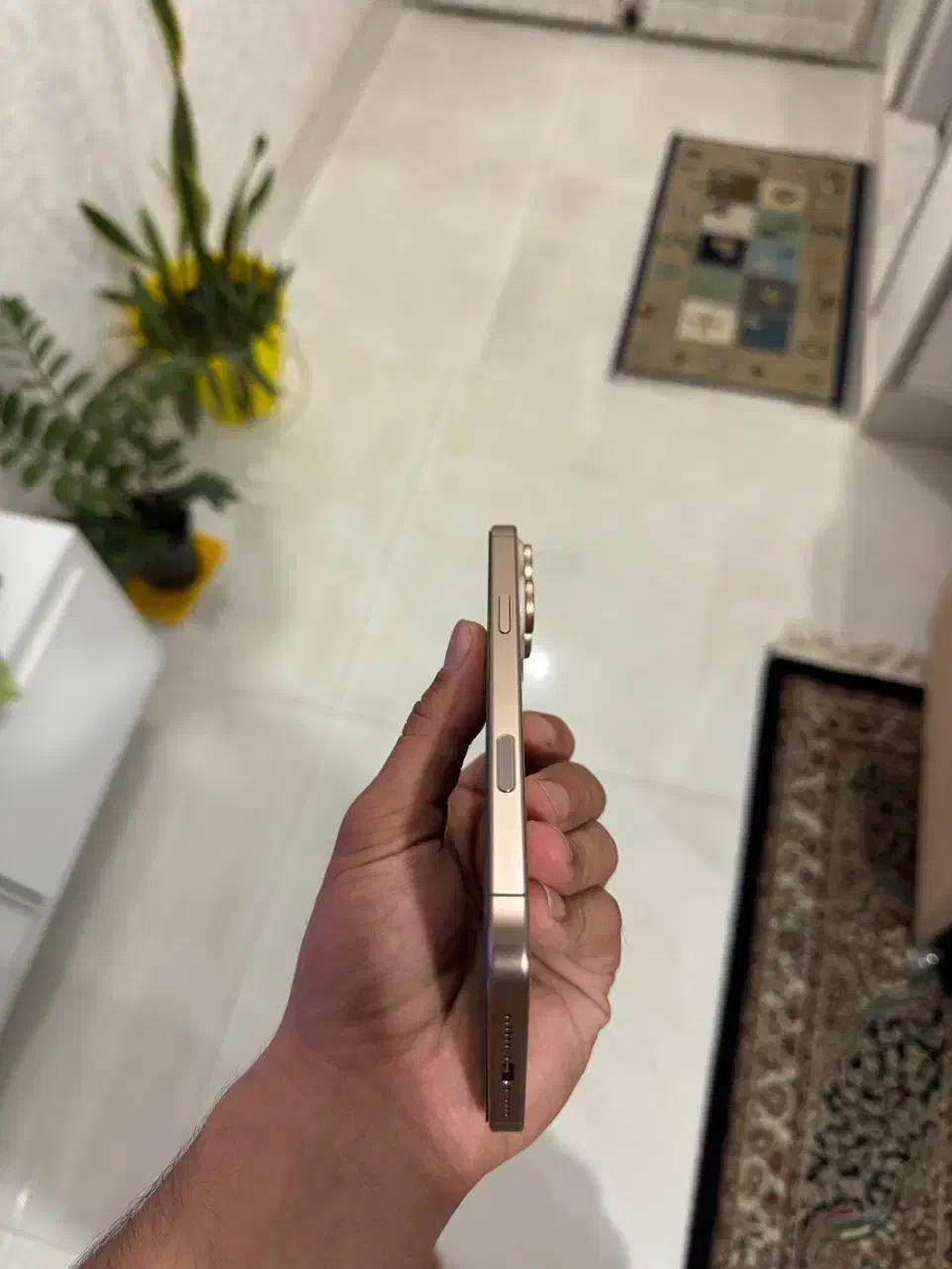 Iphone 16 pro max|موبایل|گرگان, |دیوار