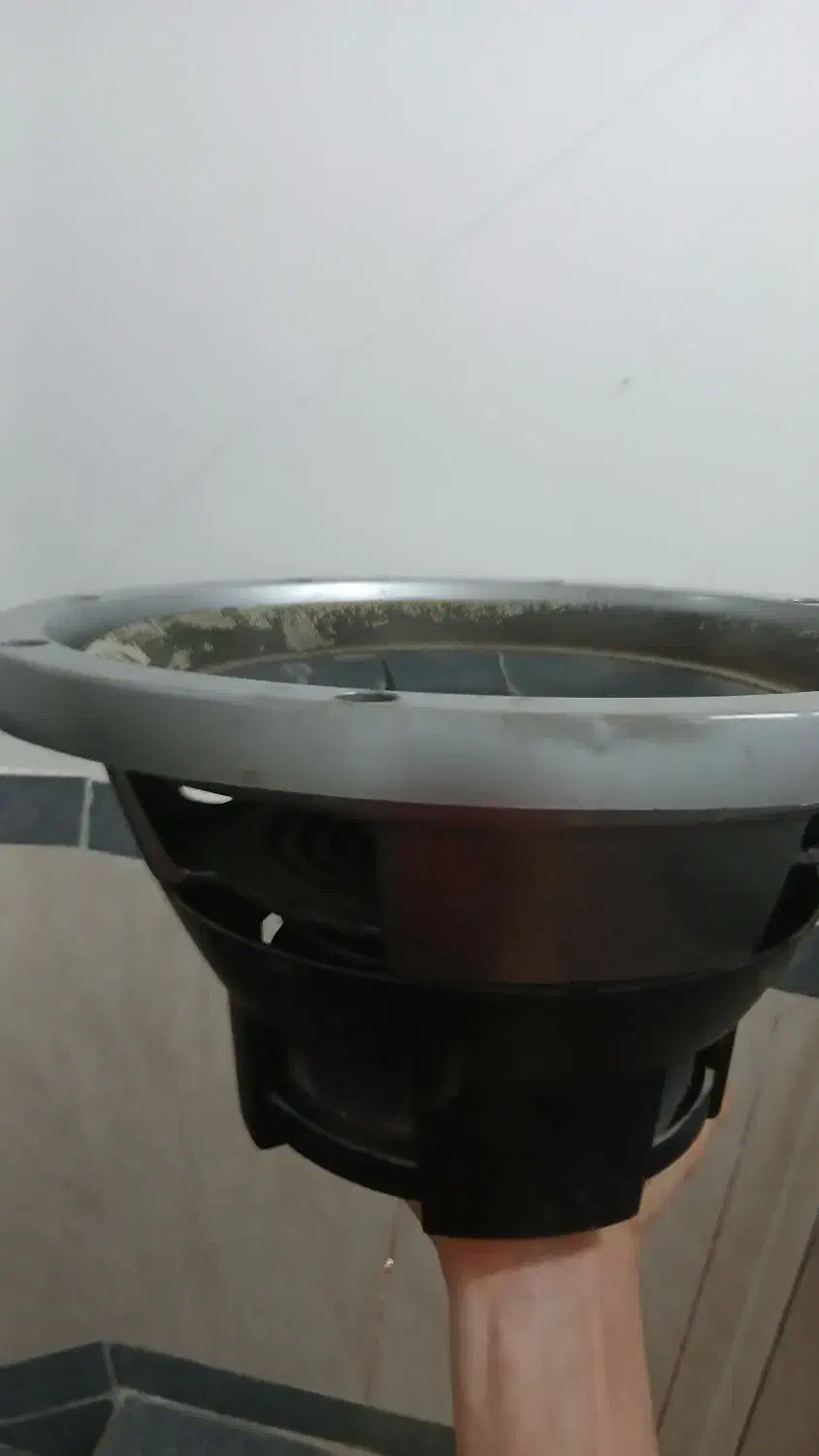 سهره|پرنده|سقز, |دیوار