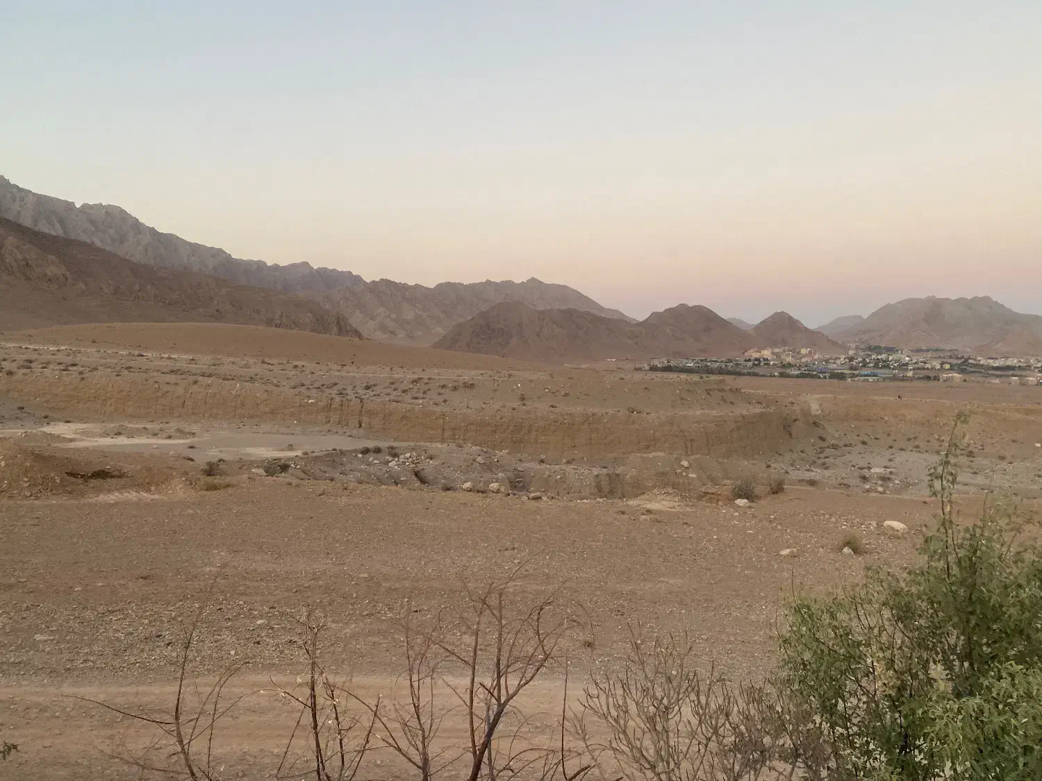 گاوداری مهدیشهر|اجارهٔ دفتر صنعتی، کشاورزی، تجاری|مهدی شهر, |دیوار