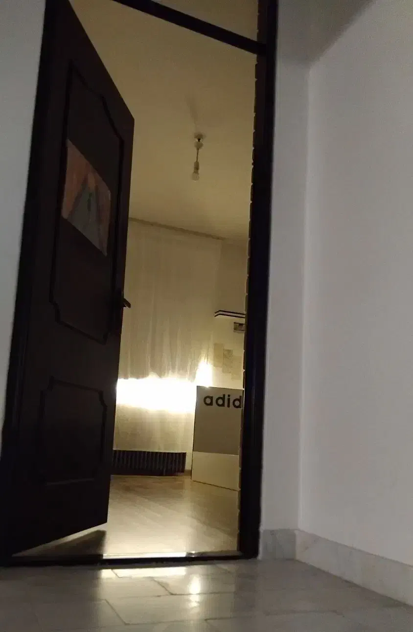 لاین نوری فلاشر زن|ریسه و چراغ تزئینی|ارومیه, |دیوار