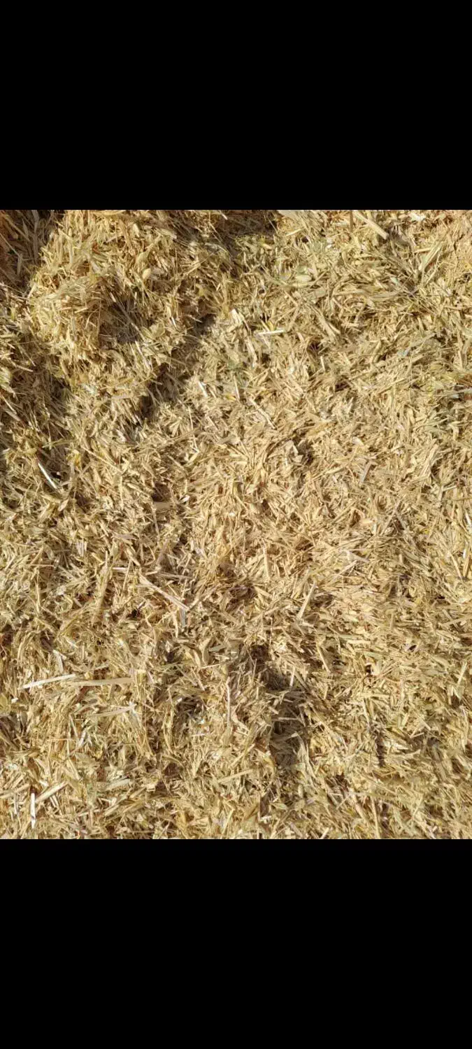 کاه گندم|خدمات باغبانی و درختکاری|مرودشت, ثبت احوال|دیوار