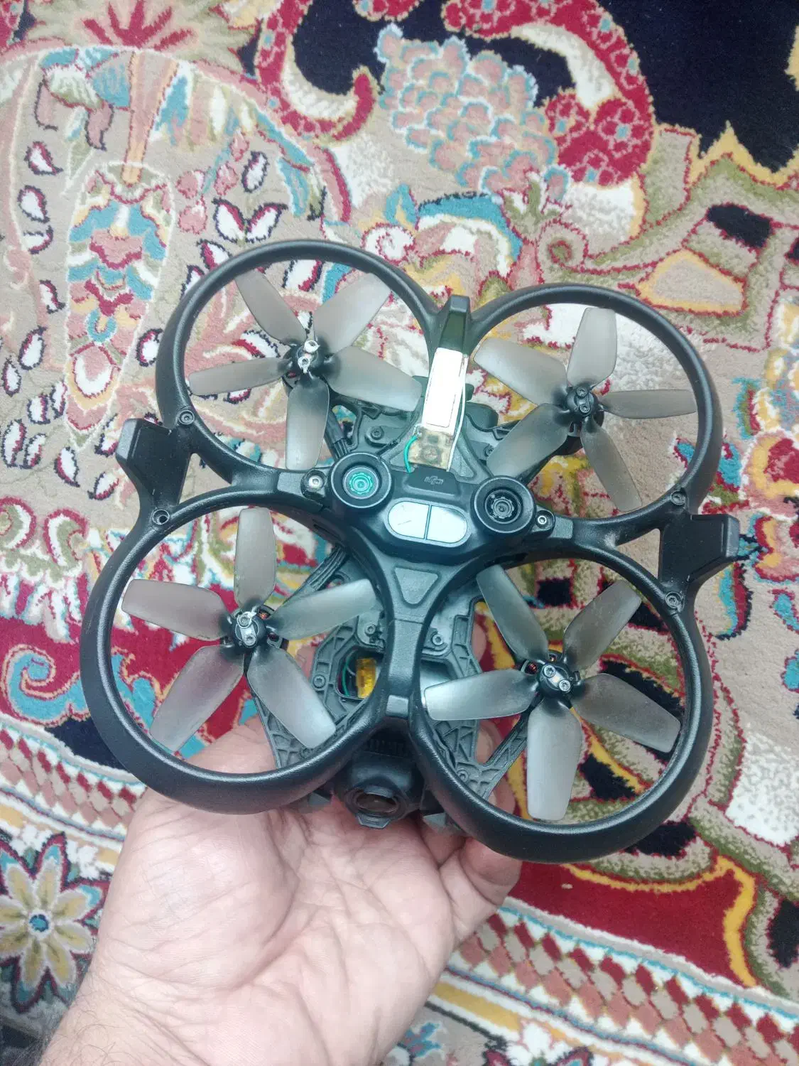 پرنده آواتا ۱|دوربین عکاسی و فیلمبرداری|تهران, آذربایجان|دیوار