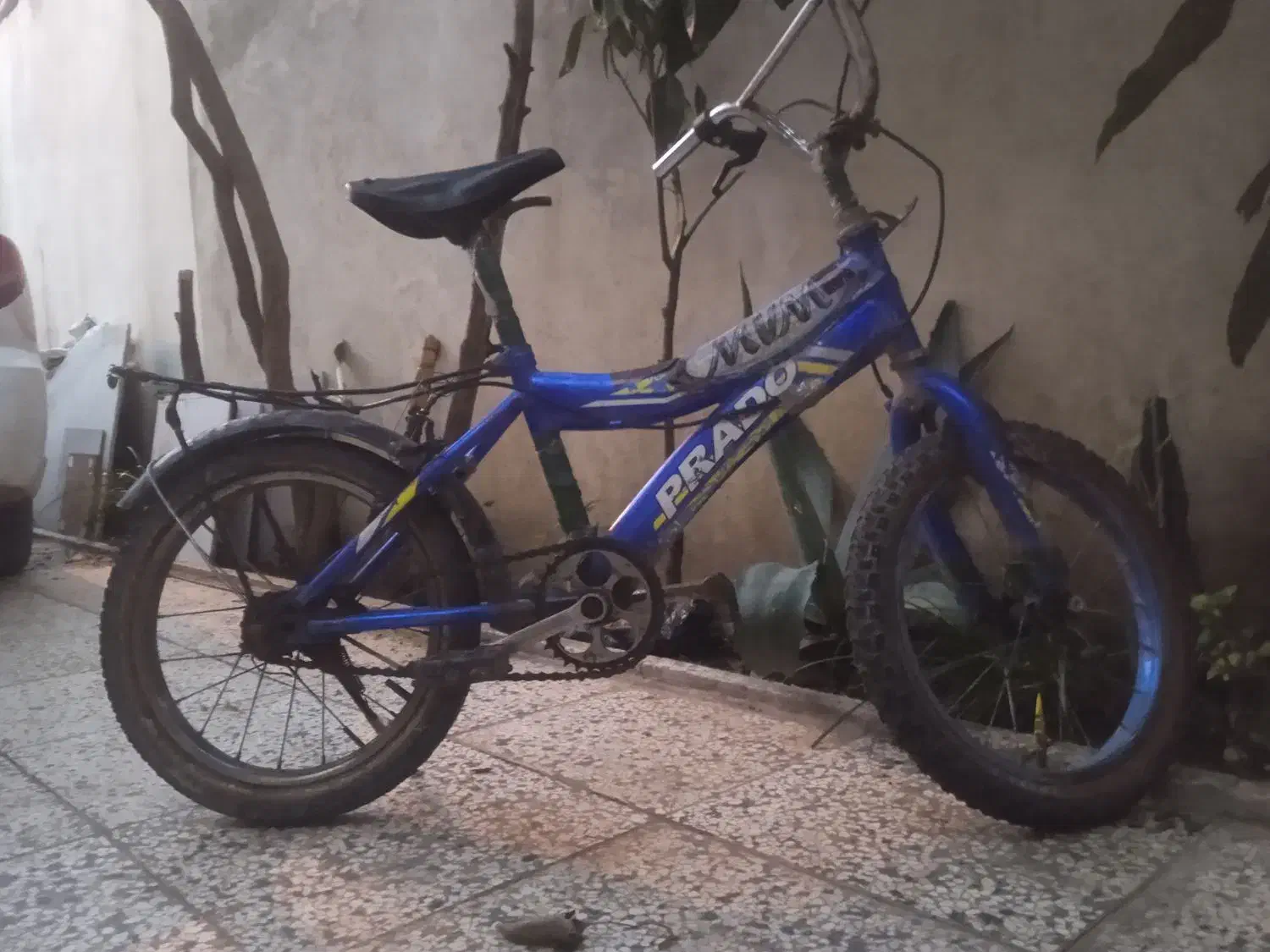 دوچرخه 24|دوچرخه، اسکیت، اسکوتر|قائمشهر, |دیوار