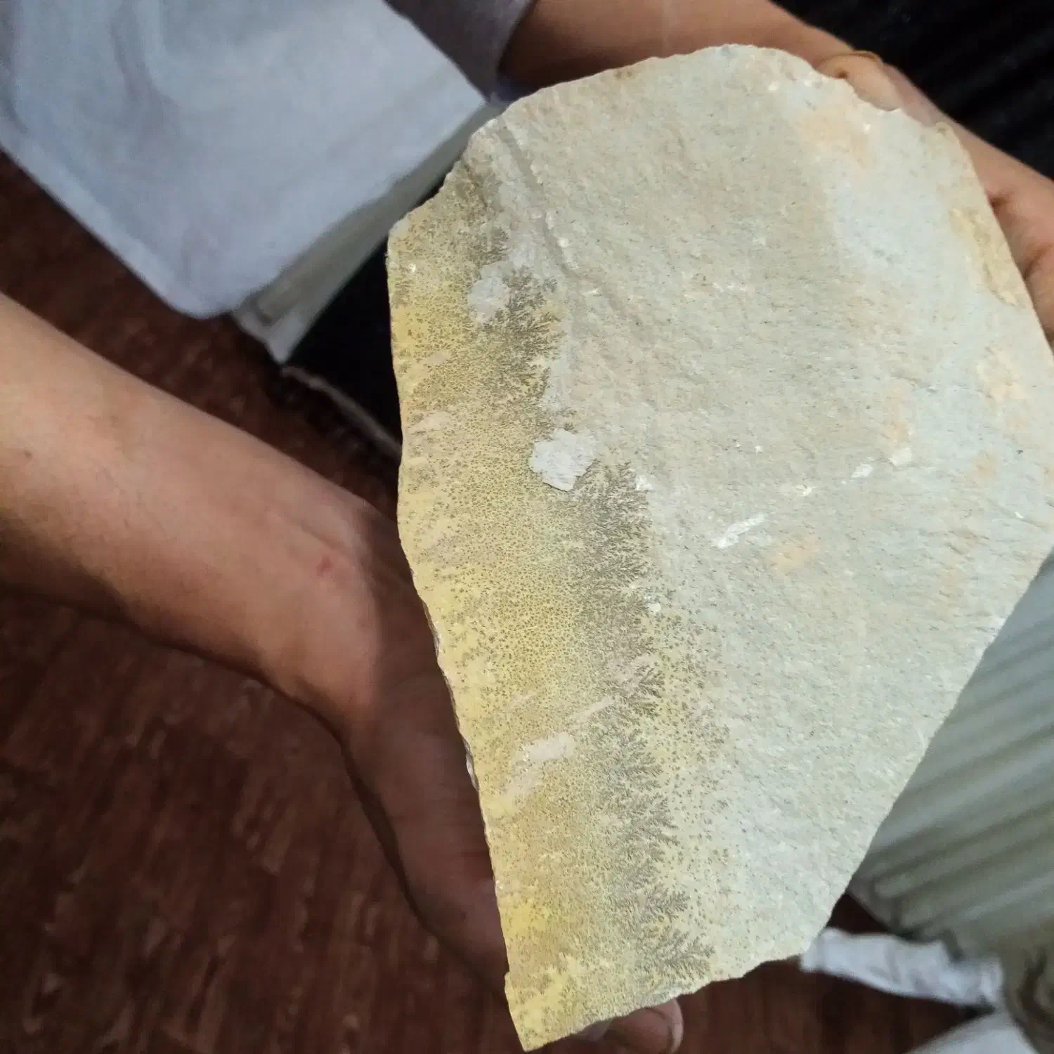 سنگ شجر خام|جواهرات|نیشابور, مازول|دیوار