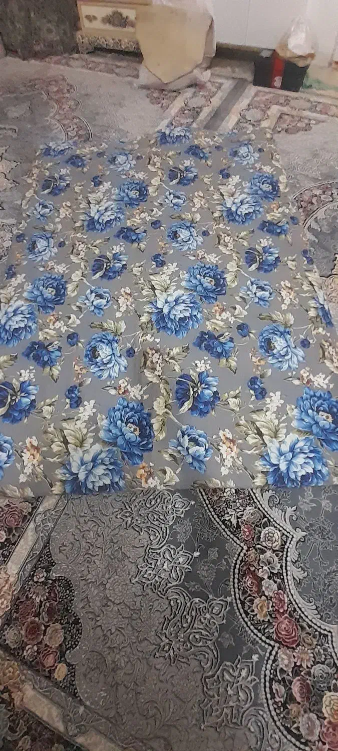 عروس هلندی|پرنده|بومهن, |دیوار