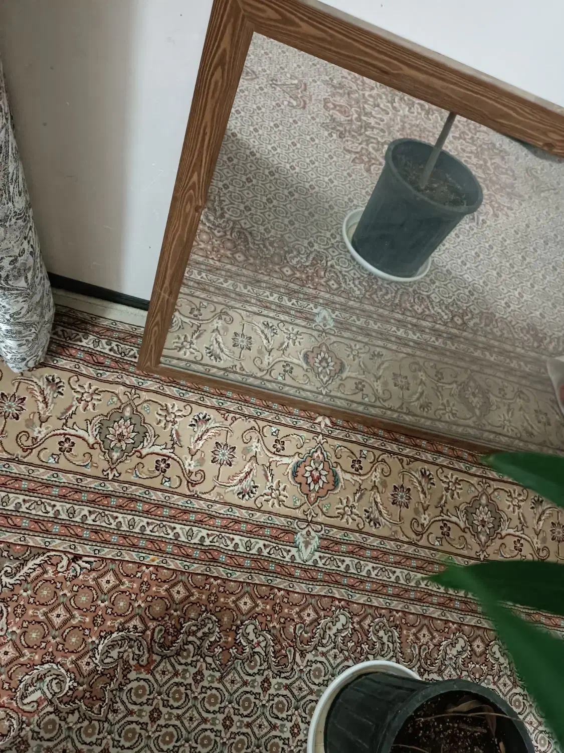 اینه|آرایشگاه و سالنهای زیبایی|شیروان (خراسان), |دیوار