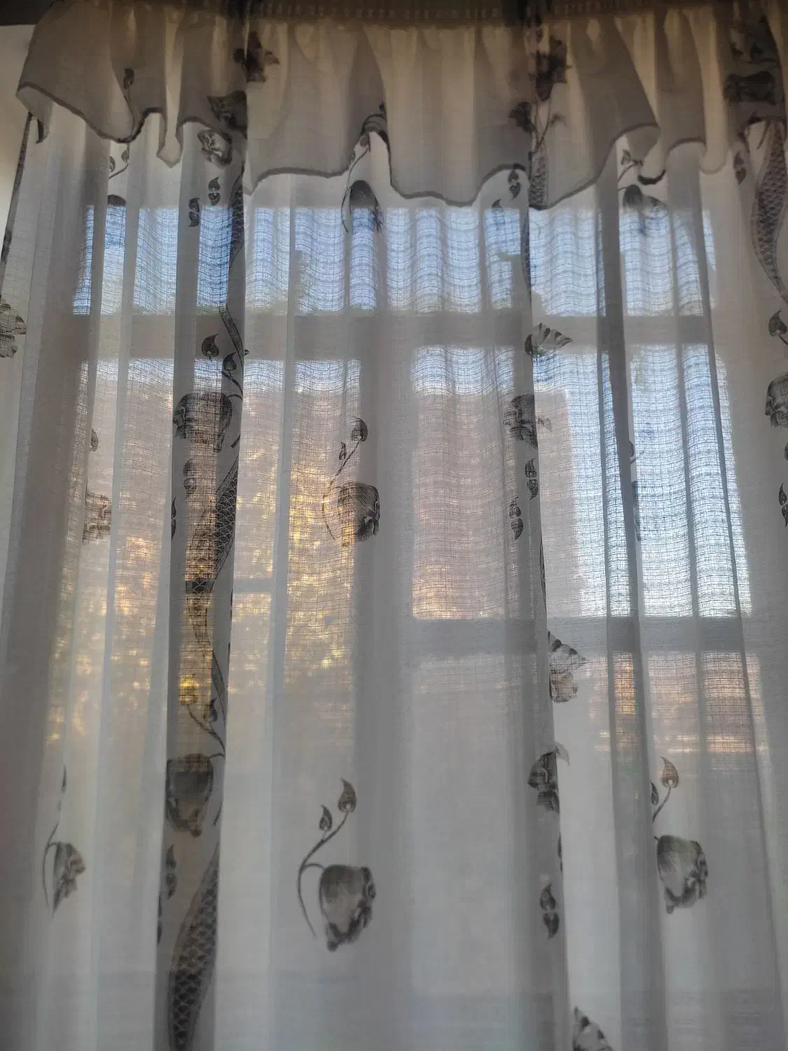 پرده|پرده، رانر، رومیزی|خواف, |دیوار