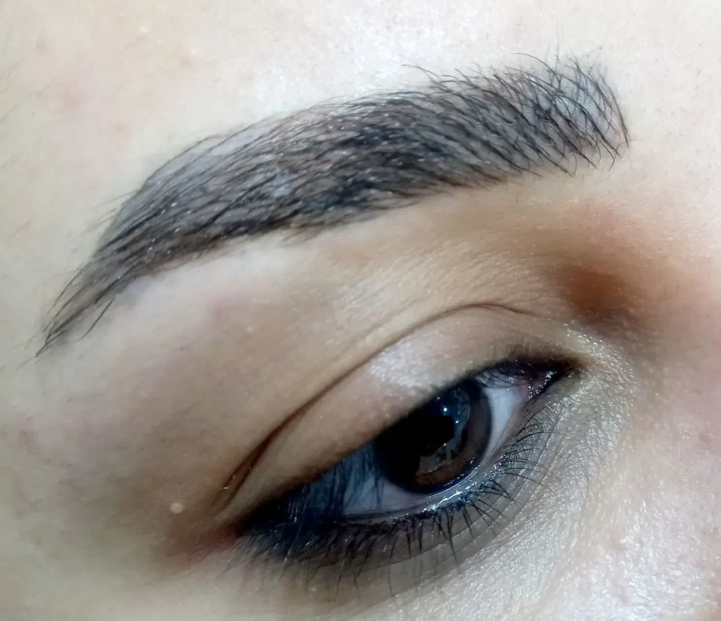 لیفت مژه وابرو ۲۰۰ میکرو شیدینگ|خدمات آرایشگری و زیبایی|قم, چهل اختران|دیوار