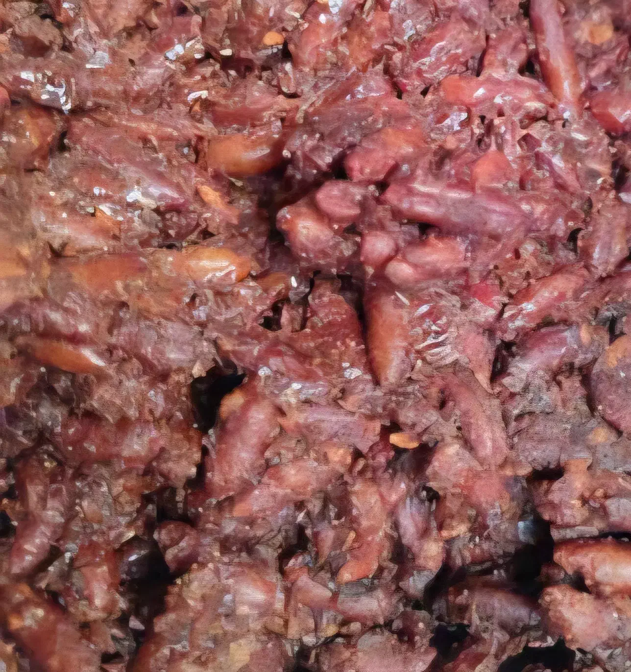 خرما مال خوار درجه ۱|خوردنی و آشامیدنی|بندر دیر, |دیوار