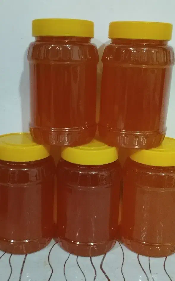 عسل صددرصد طبیعی ژل رویال با ضمانت|خوردنی و آشامیدنی|تربت جام, زیباکنار|دیوار