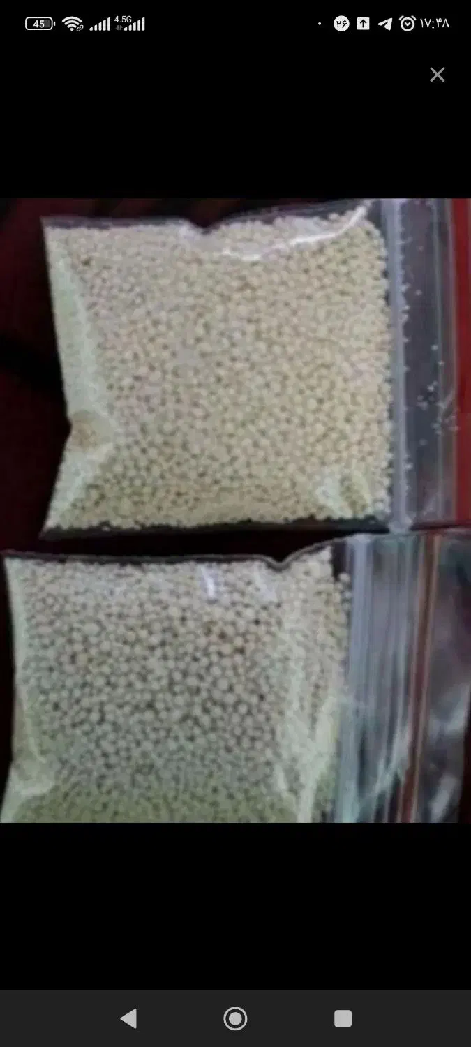 پودر شپش و تخم شپش|آرایشی، بهداشتی، درمانی|یاسوج, |دیوار