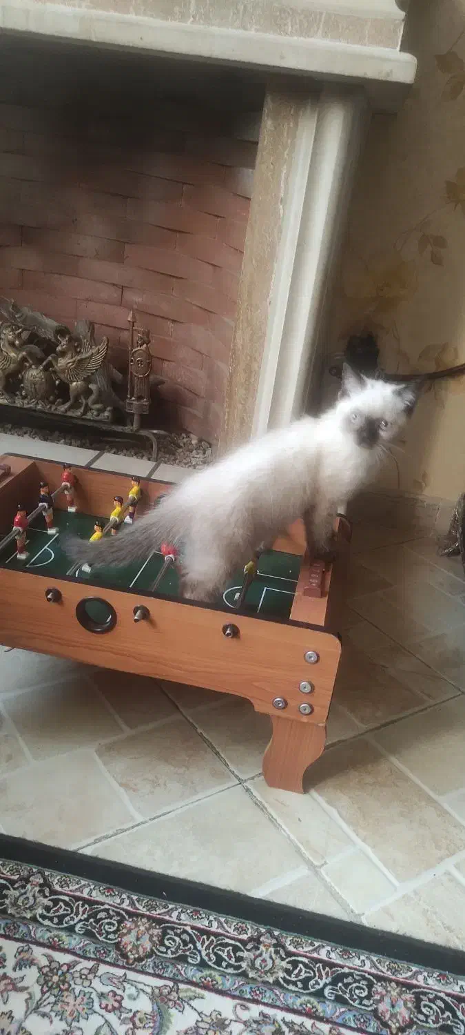 دسته بازی|کنسول، بازی ویدئویی و آنلاین|مشهد, سمزقند|دیوار