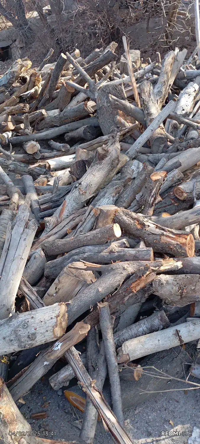 خرید فروش چوب|خدمات باغبانی و درختکاری|مراغه, |دیوار