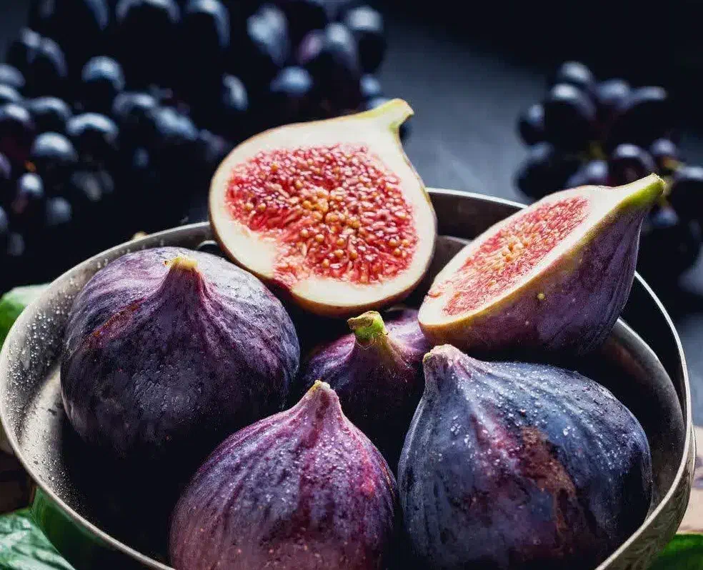 ارائه نهال انجیر سیاه|خدمات باغبانی و درختکاری|سراب, |دیوار