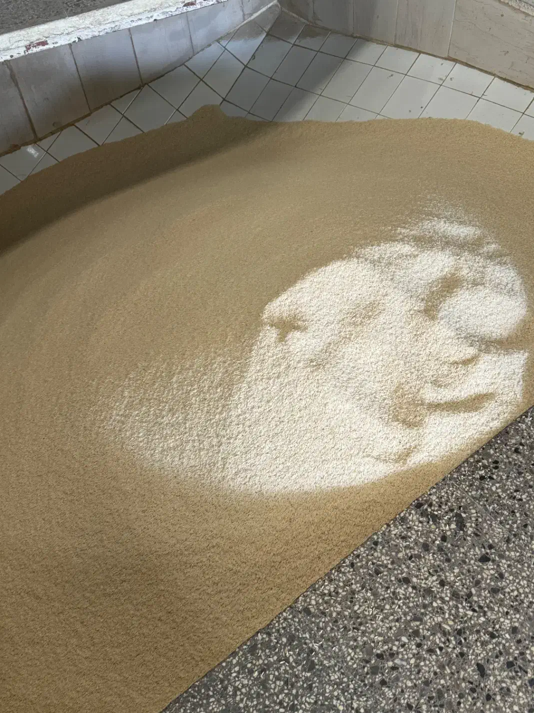 سرلاشه طارم هاشمی فوق العاده|خوردنی و آشامیدنی|هادی شهر, |دیوار