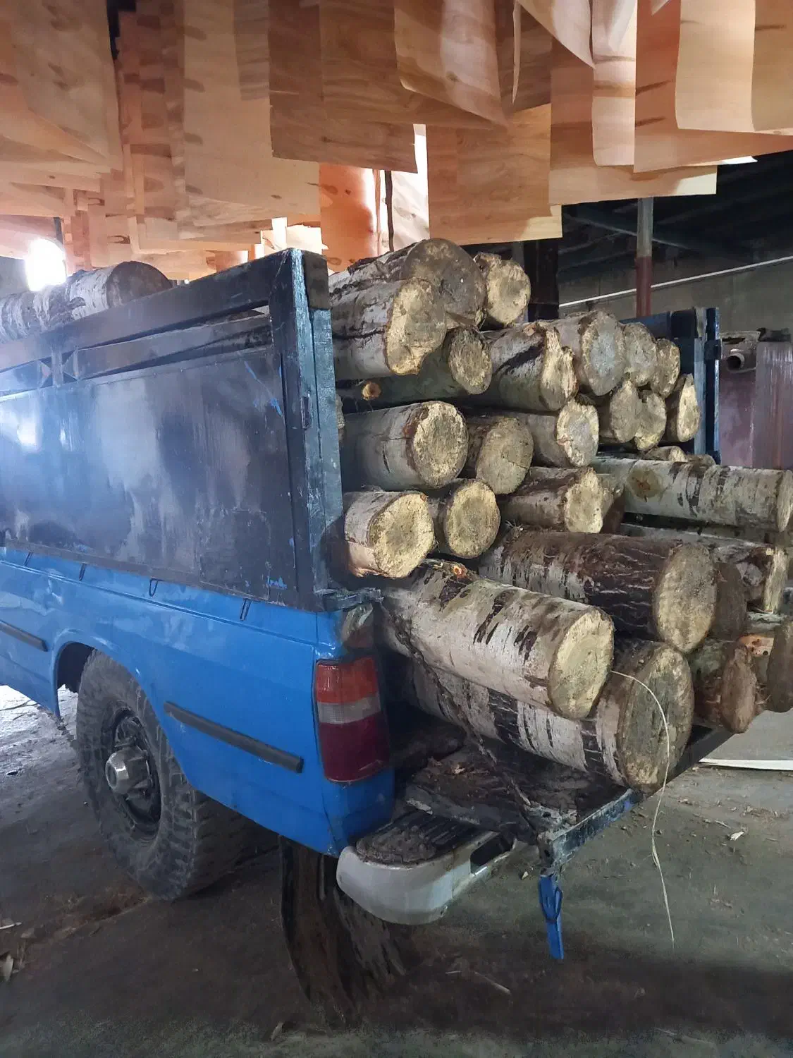 خرید|خدمات باغبانی و درختکاری|ماکو, |دیوار