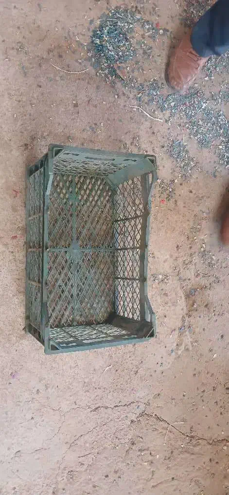 کارگر ساده سبدسازی|استخدام صنعتی، فنی، مهندسی|جیرفت, |دیوار