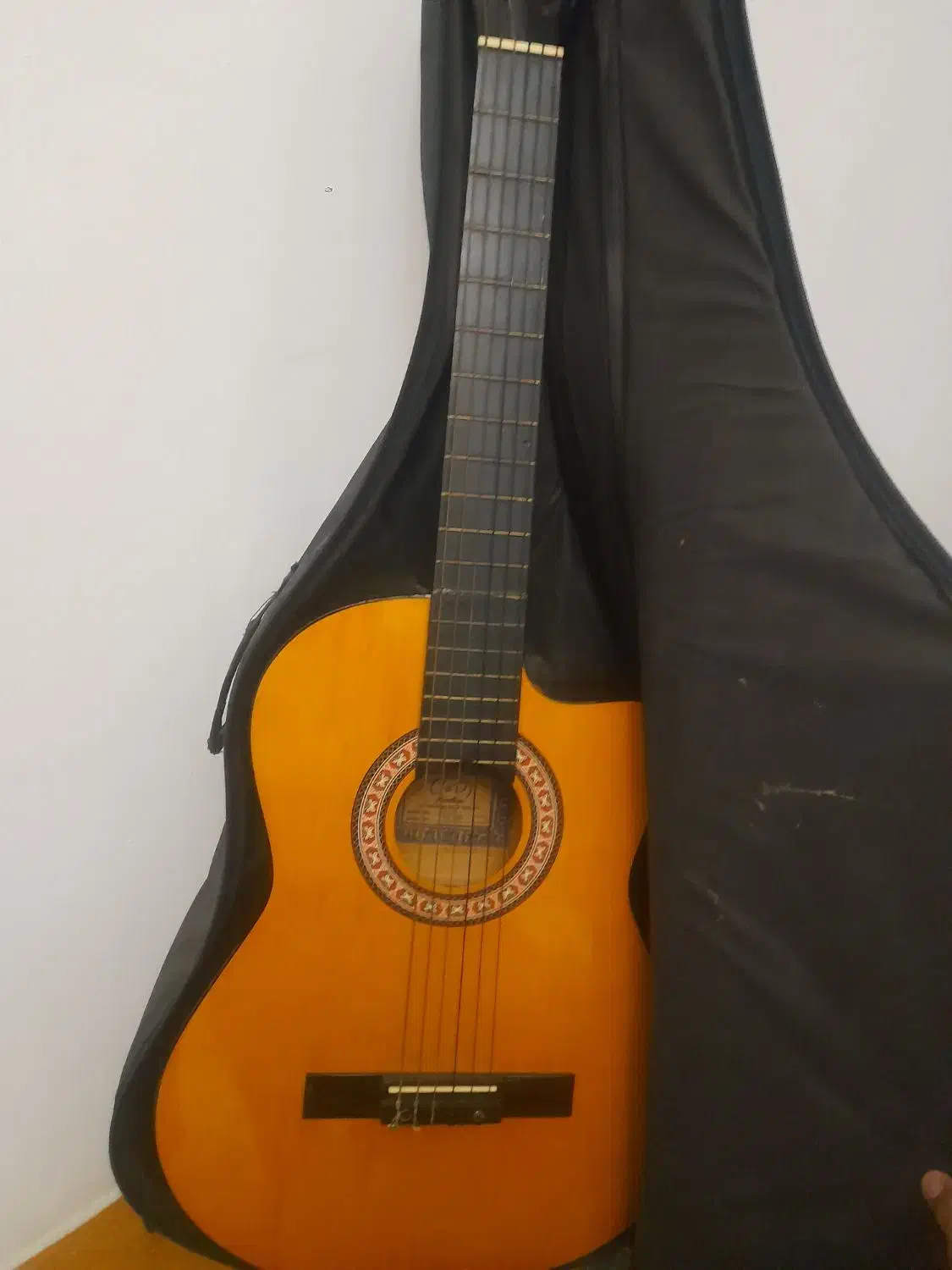 گیتار پیکاپ دار وی کات|گیتار، بیس، امپلیفایر|آستارا, |دیوار