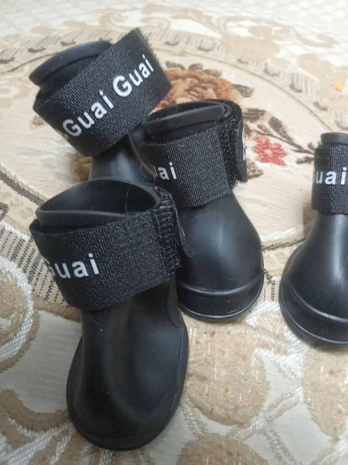 کفش سگ|لوازم جانبی حیوانات|تهران, مشیریه|دیوار