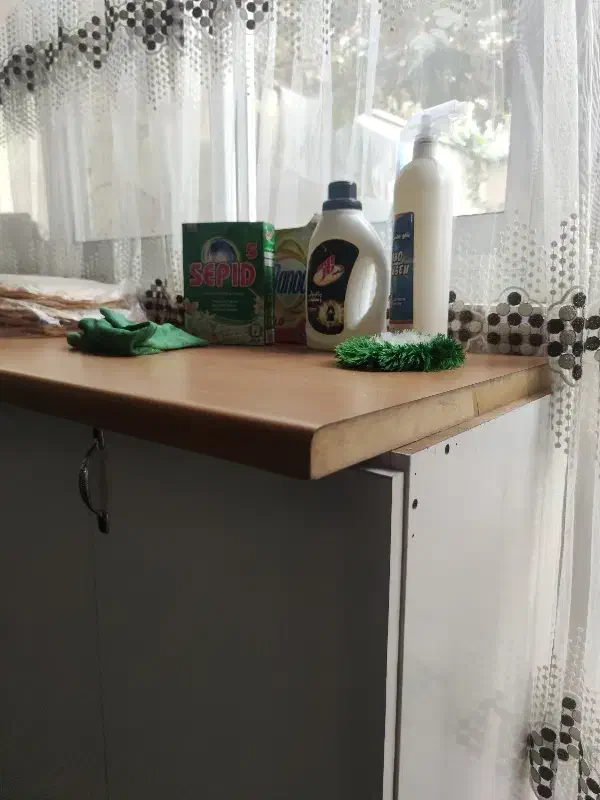 نظافت منزل.خودم ماشین دارم همه جا میرم|خدمات نظافت|تهران, تجریش|دیوار