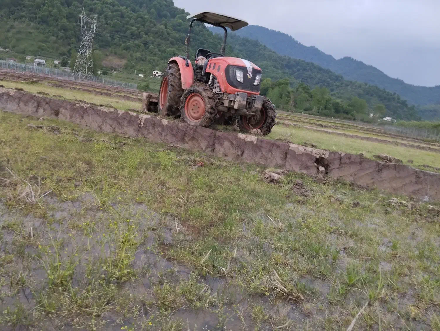 تراکتور کارتور 504مشهد|خودرو سنگین|حویق, |دیوار