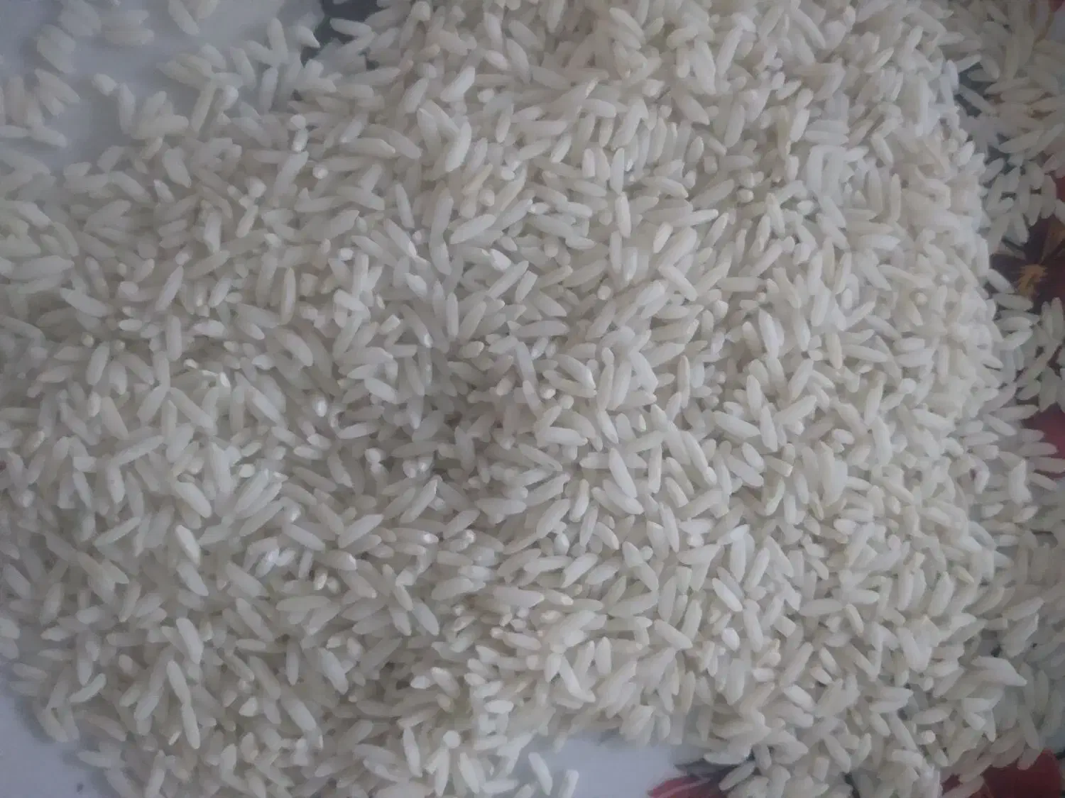 برنج محلی سالم|خوردنی و آشامیدنی|دورود, |دیوار