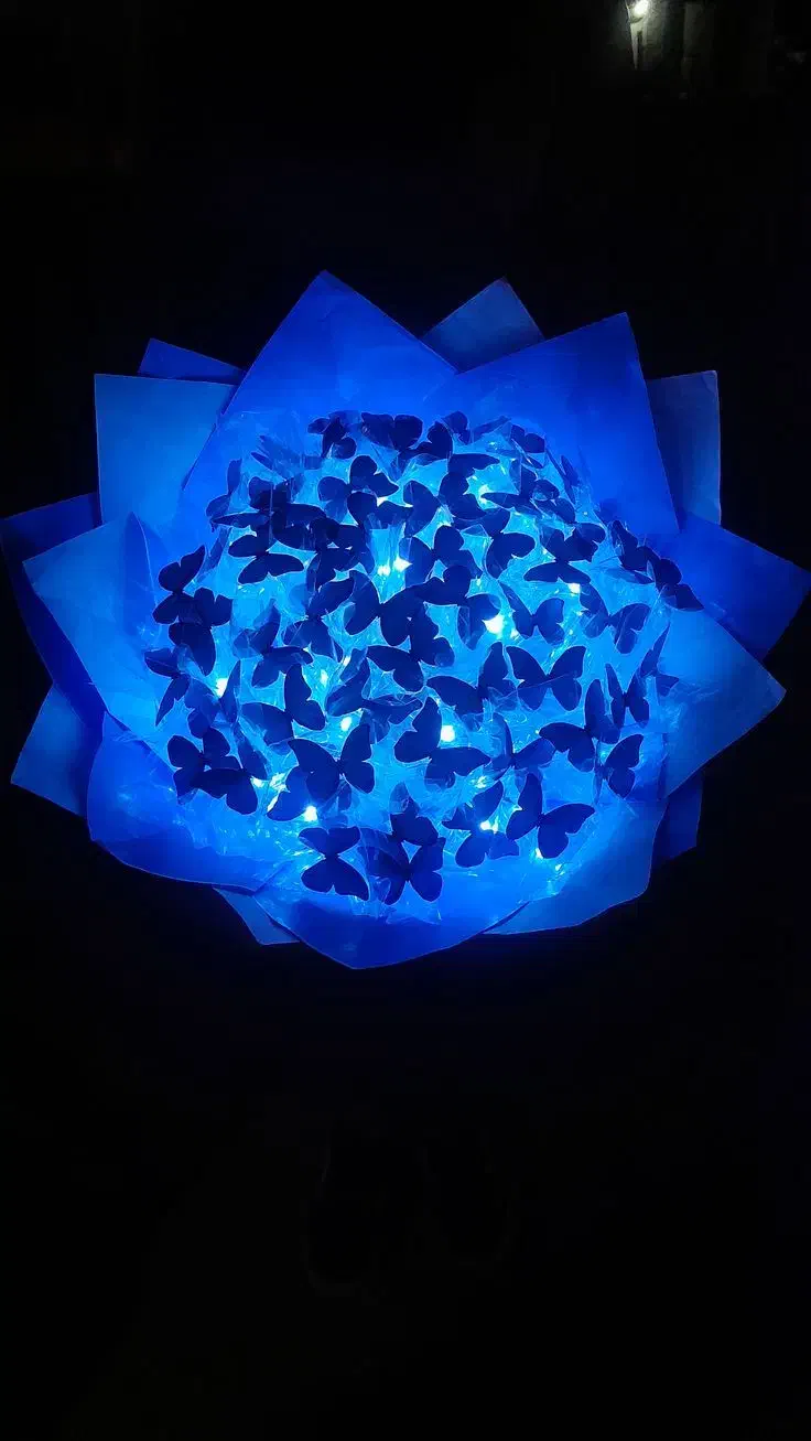 بوکت پروانه ای|ریسه و چراغ تزئینی|ارومیه, |دیوار