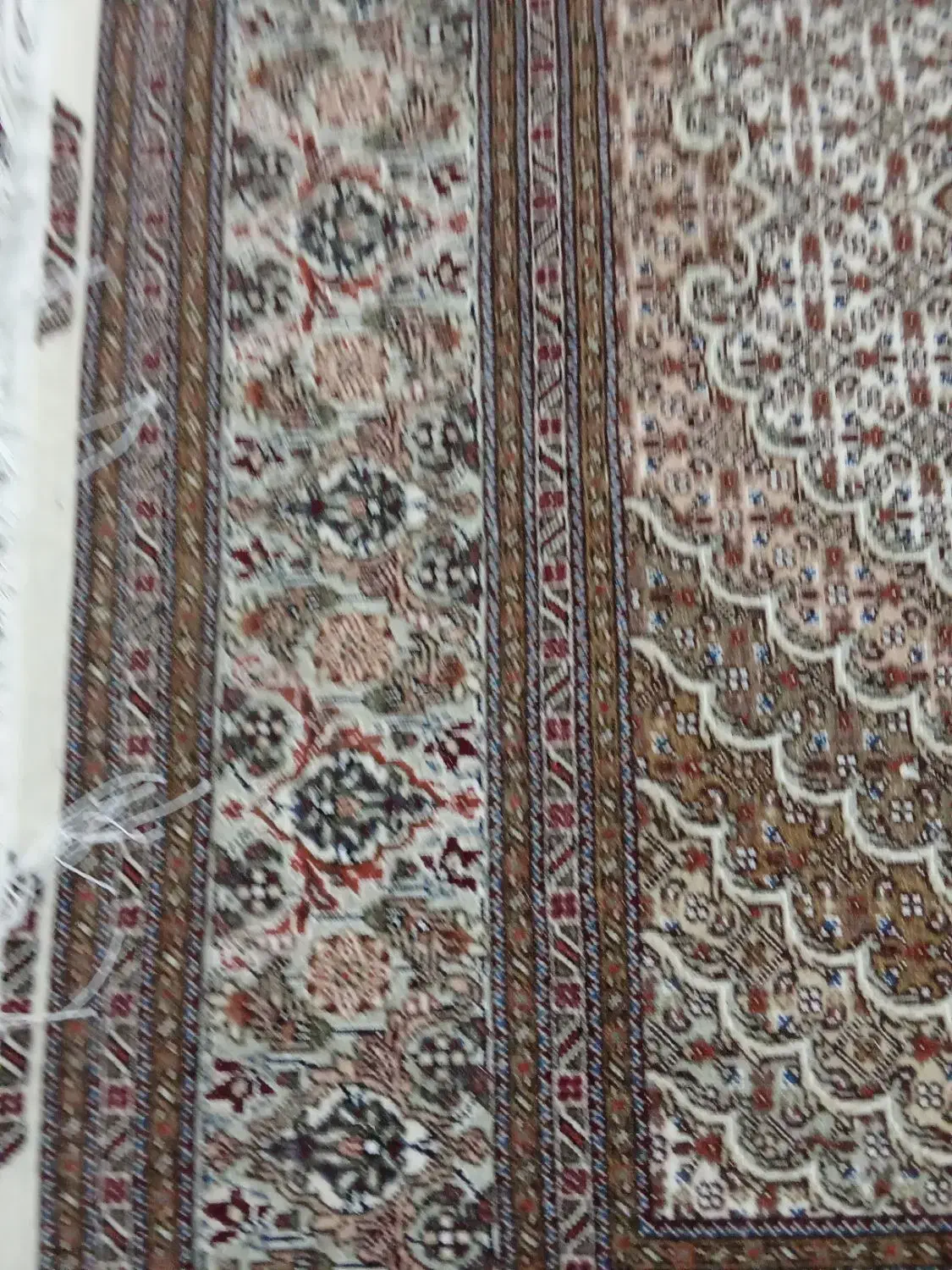 فرش دستبافت چهل رج 12متری بدون ایراد خوش رنگ 13مدی|فرش|خوی, |دیوار