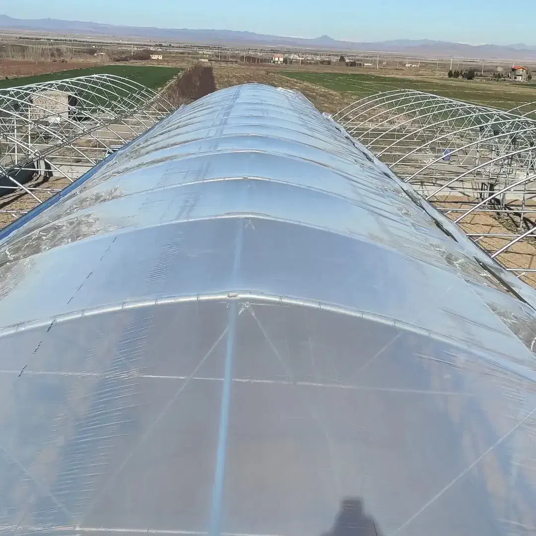 گلخانه/گلخانه سازی/پلاستیک گلخانه/پلاستیک کشی/شید|عمدهفروشی|تهران, نیروی هوایی (پیروزی)|دیوار