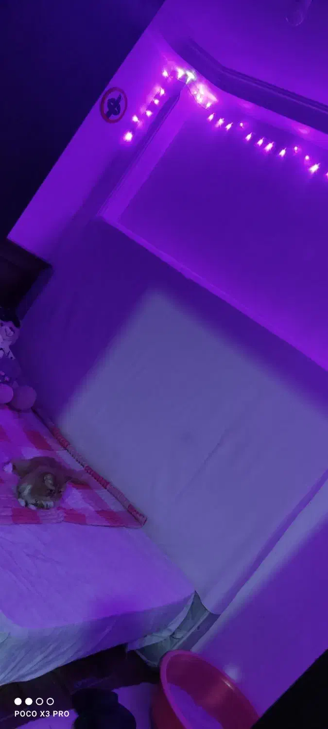 تشک خوش خواب دو نفره ی بزرگ|تشک تختخواب|رشت, پیرکلاچای|دیوار