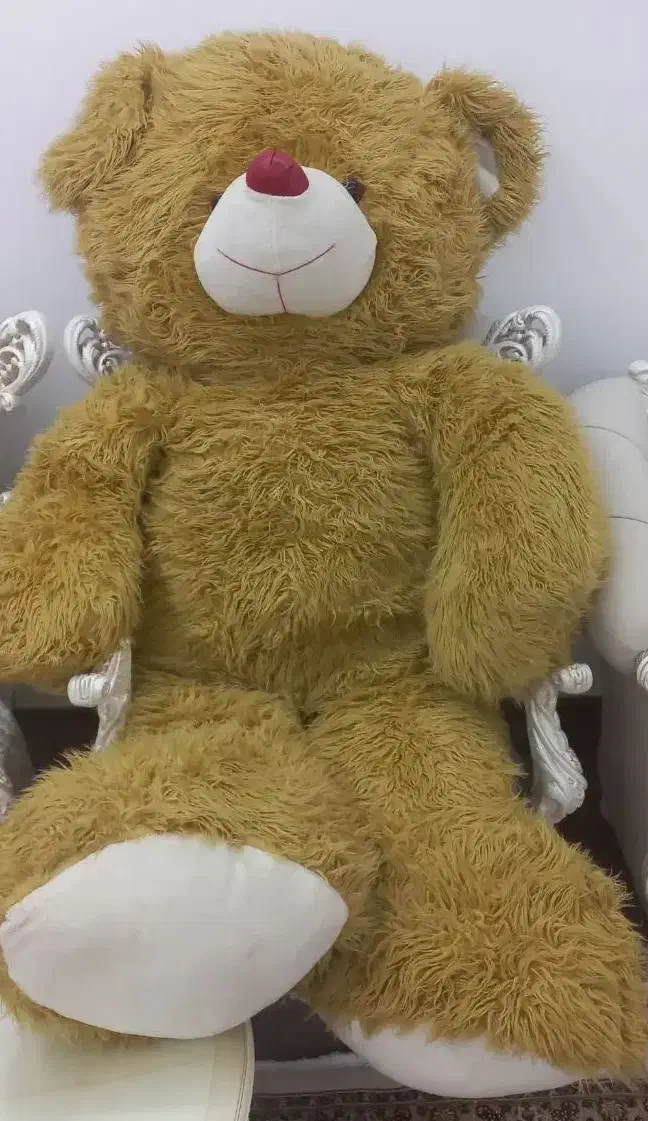 خرس|اسباب‌بازی بچه|قم, چهار مردان|دیوار