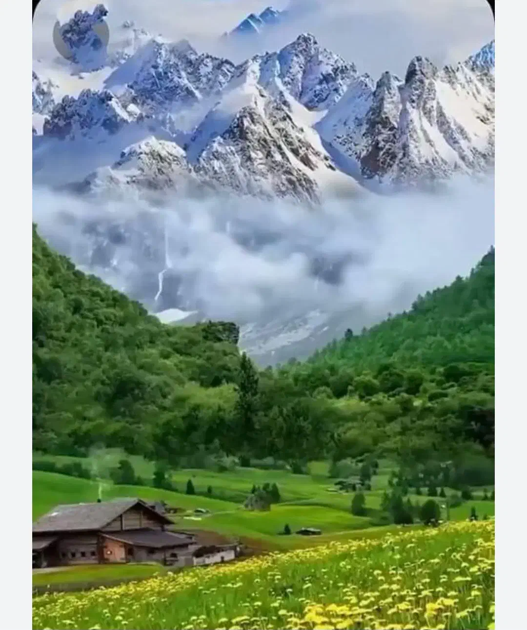 راهنمای کردن|فعالیت داوطلبانه|سنندج, |دیوار