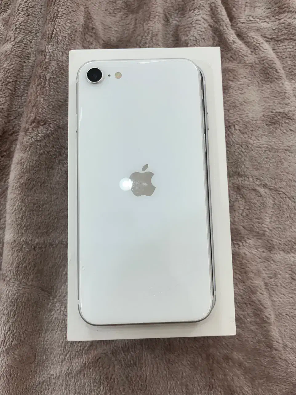 ایفون se 2022|موبایل|قم, دورشهر|دیوار