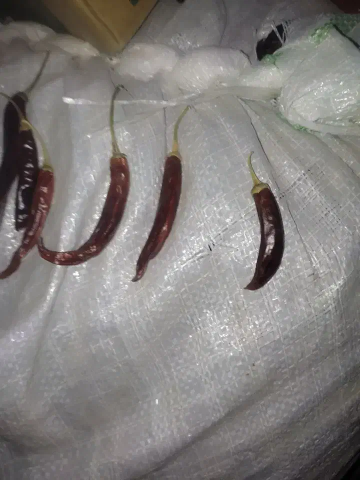 فلفل محلی و میناکش|خوردنی و آشامیدنی|جغین, |دیوار