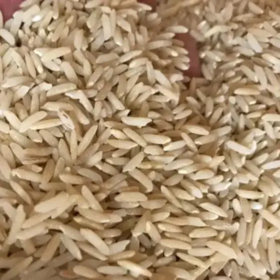 برنج قهوه ای چمپه|خوردنی و آشامیدنی|شیراز, احمدی جنوبی|دیوار