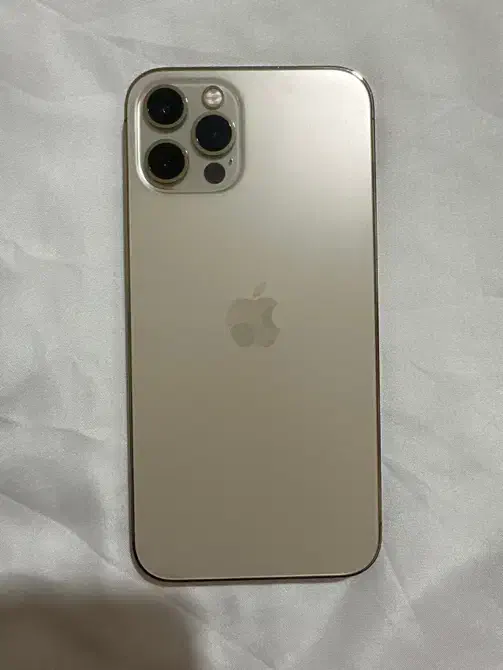 ایفون ۱۲ پرو|موبایل|مشهد, وحید|دیوار