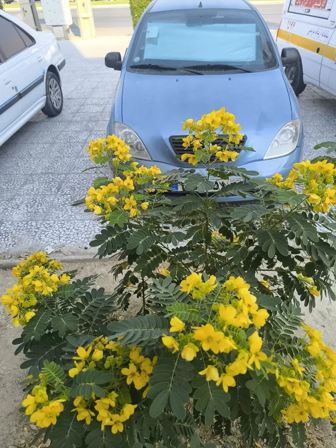 تیبا ۲|خودرو سواری و وانت|بندر کنگان, |دیوار